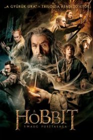 A hobbit: Smaug pusztasága online teljes film