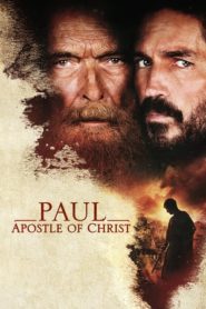 Pál, Krisztus apostola