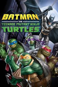Batman vs. Tini Nindzsa Teknőcök online teljes film