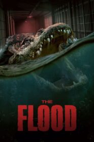 The Flood online teljes film